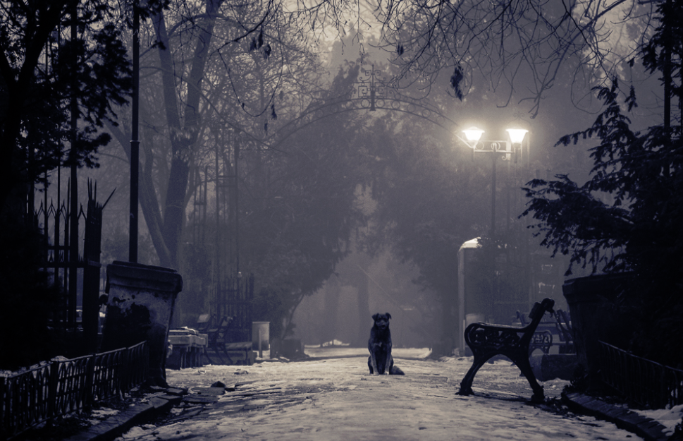 Check-Out-This-Eery-Photo-of-a-Cold-Winters-Night-in-Romania