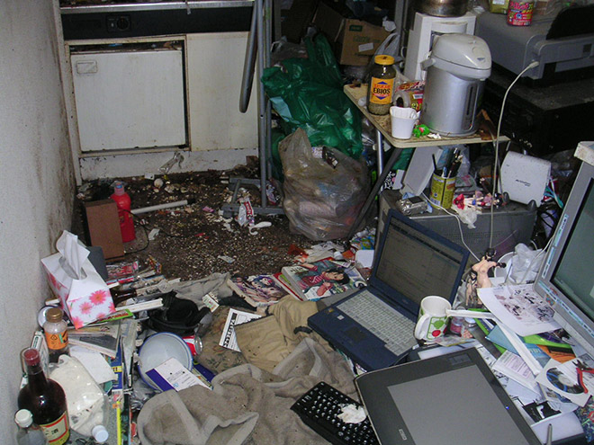 nest17
