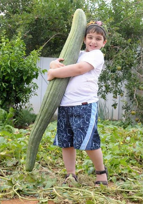 Amazing_Vegetable_6