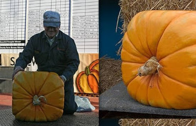 Amazing_Vegetable_12