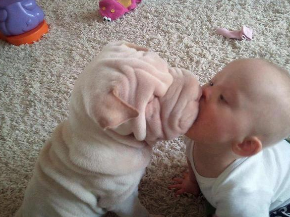 coolest baby ever