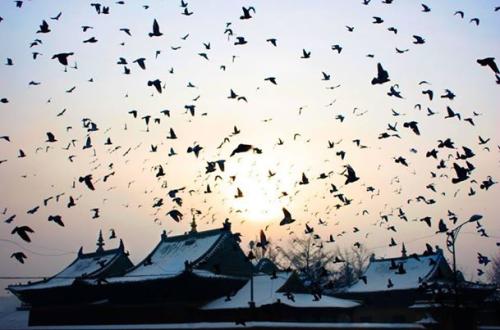 10422094_308018609404718_7889525771021058088_n