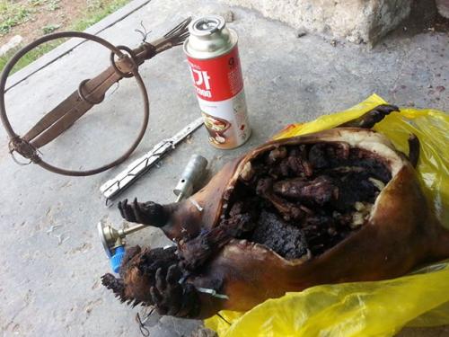 10711085_309853039221275_3978429024467579121_n