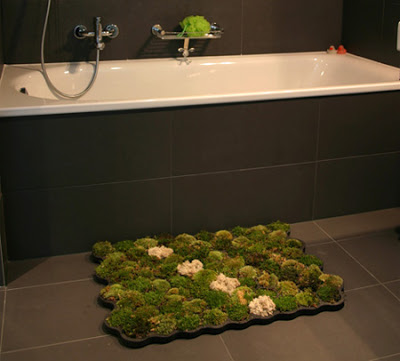 Beautiful Designs Inspired by Nature 4