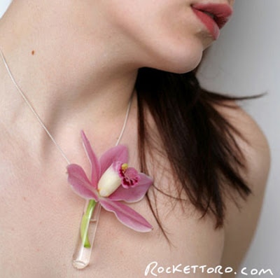 Beautiful Designs Inspired by Nature 11
