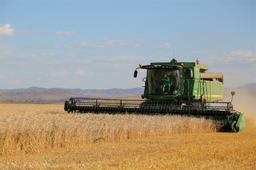 2014-09-14tarailan_big