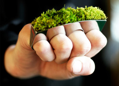 Beautiful Designs Inspired by Nature 13