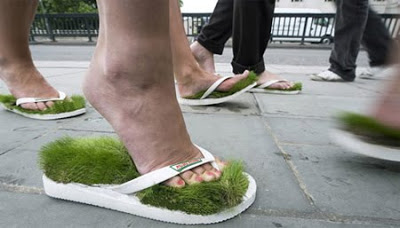 Beautiful Designs Inspired by Nature 2