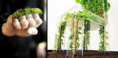 Beautiful Designs Inspired by Nature 1