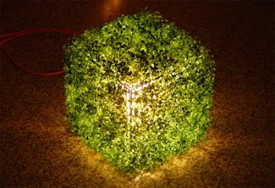 Beautiful Designs Inspired by Nature 3