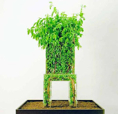 Beautiful Designs Inspired by Nature 15