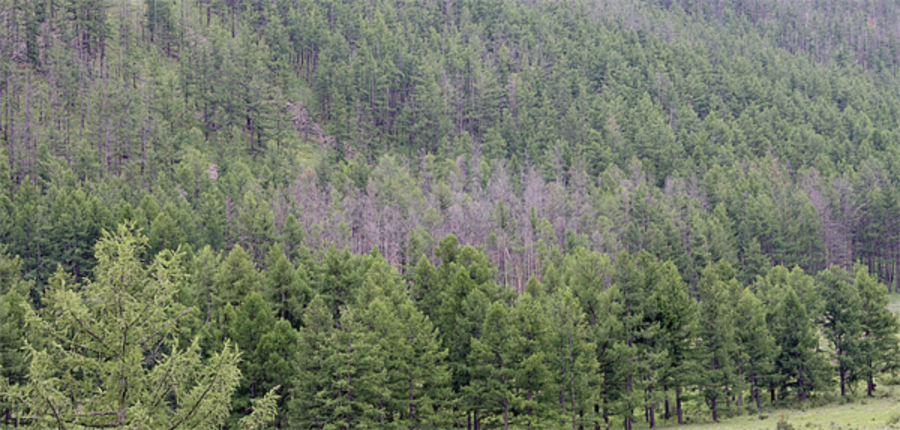 p192nlj80a1j3iot076bfes1gu01