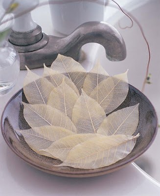 Beautiful Designs Inspired by Nature 8