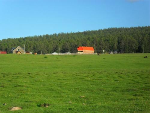 p1920ibn8v6mgvp312d51us015n81