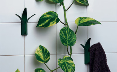 Beautiful Designs Inspired by Nature 12