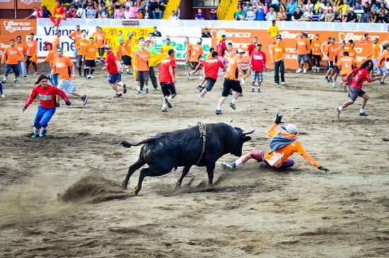 Costa-Rica-bullfighting-550x364
