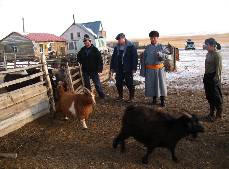 p19aukaeo71oeo96c6j8dsf1e3o2