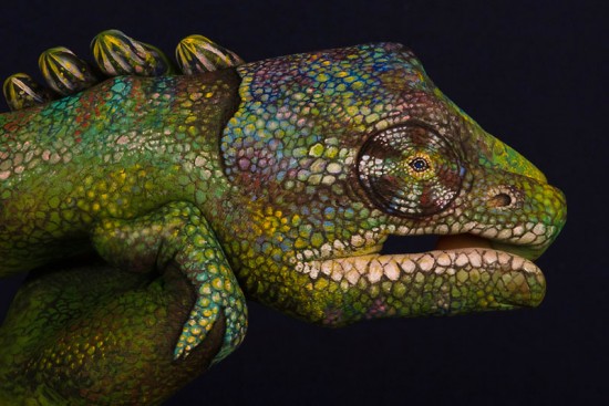 Guido-Daniele-handimals5-550x366