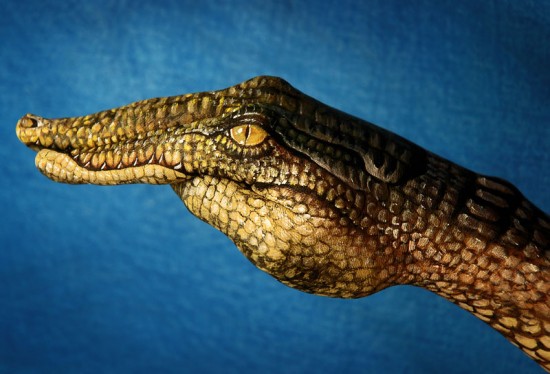 Guido-Daniele-handimals5-550x366