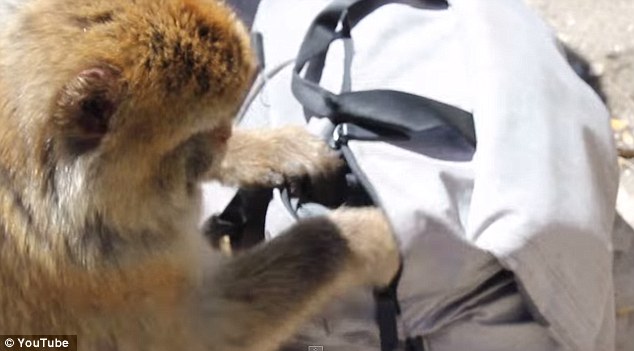 24A5F5CA00000578-2907275-image-a-29_1421098206492