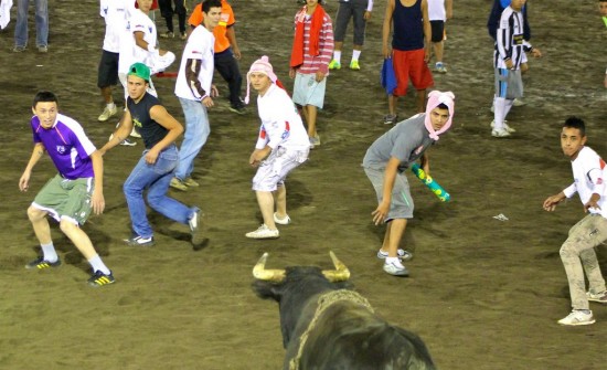 Costa-Rica-bullfighting2-550x366