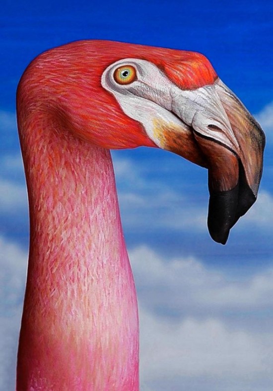 Guido-Daniele-handimals5-550x366