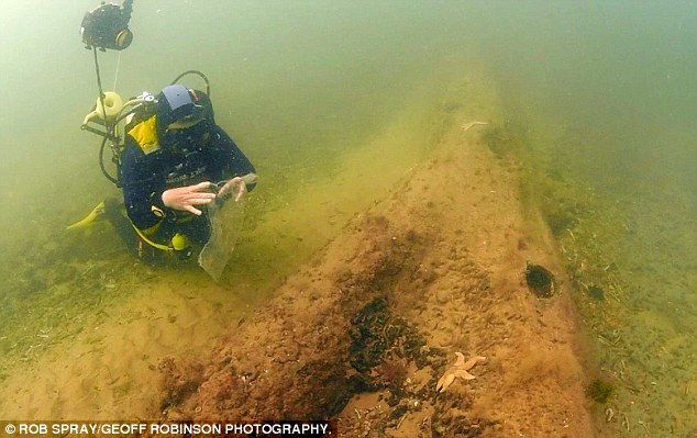 250941AD00000578-2925776-image-m-40_1422212590180