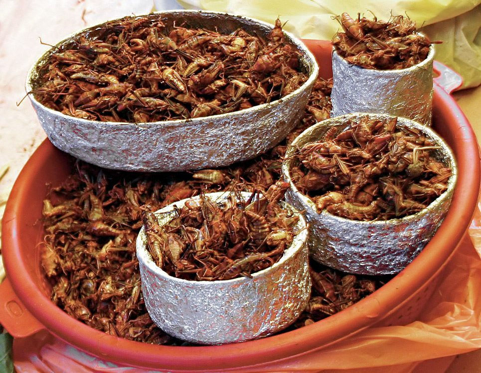 Chapulines