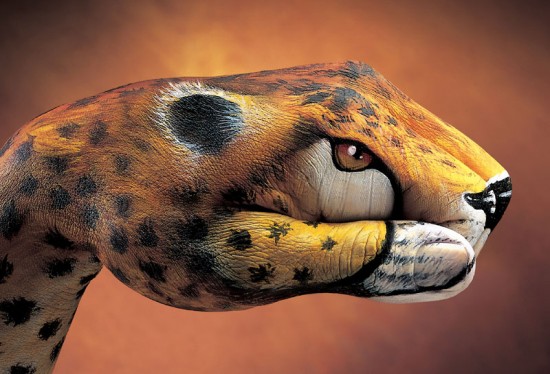 Guido-Daniele-handimals2-550x368