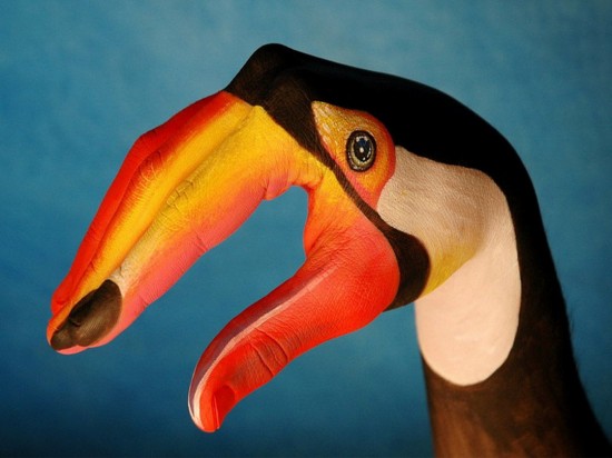 Guido-Daniele-handimals5-550x366