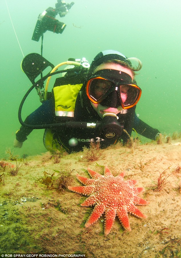 2509404D00000578-2925776-image-a-39_1422212580232