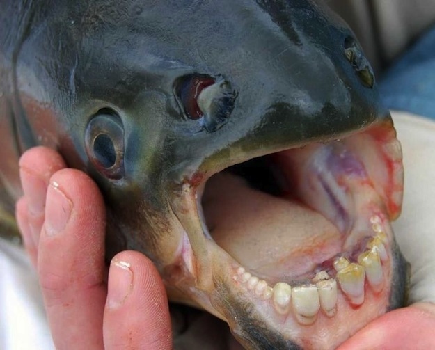 unbelievable-real-photos-081