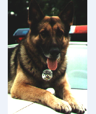 Snapshot_2015-01-30_163448