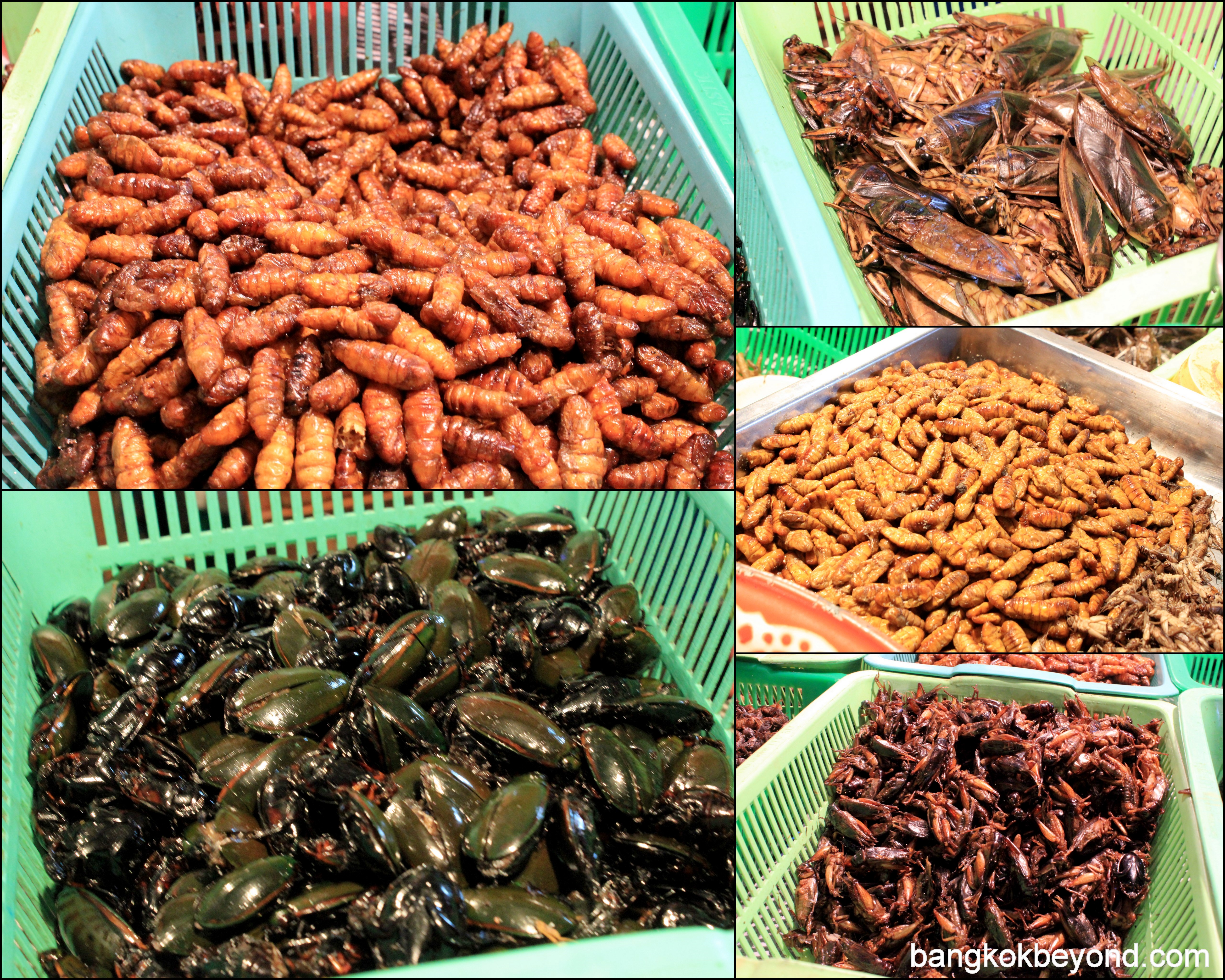 Weird-food-of-Thailand-Insect-dishes