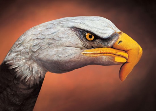 Guido-Daniele-handimals5-550x366