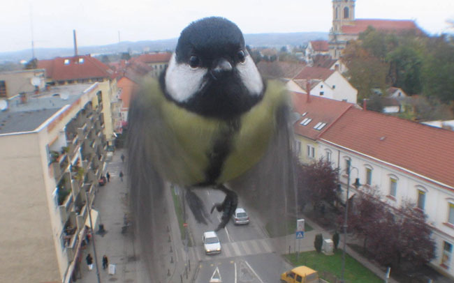 0bc40ccda6c5082d8a8a7871b76f98c3_650x
