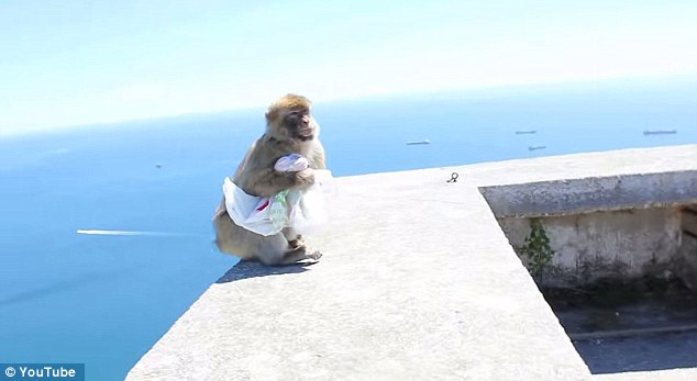 24A5F5CA00000578-2907275-image-a-29_1421098206492