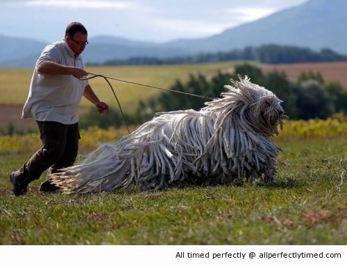 amazing-shot-resizecrop--