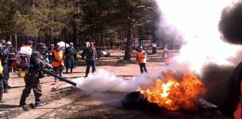 p19esjukdq1j1a1bjf701tm317451