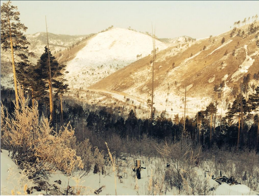 Snapshot_2015-02-26_104836