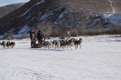 2abbe119fd76033df3a224a1b5c72e9e