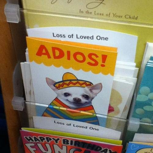 funniest-pictures-2013-adios