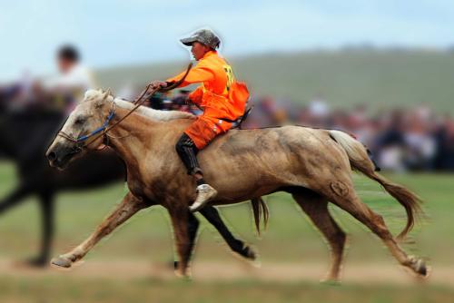 p19dr5bhf11sd6b1q9dh1gd11f6e1