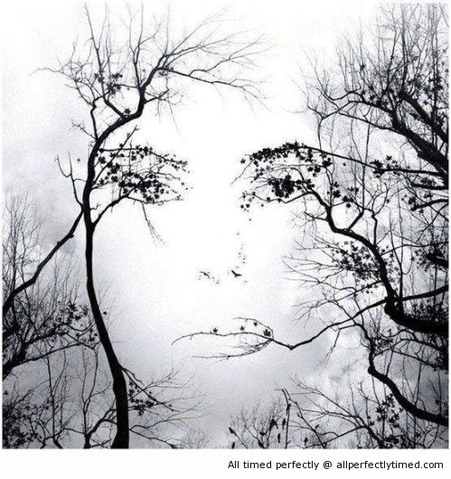 amazing-shot-resizecrop--