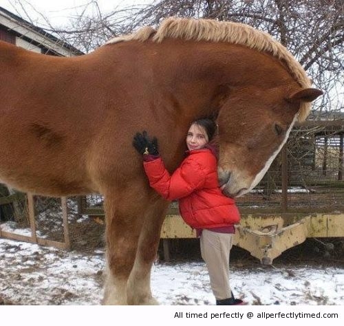 A-big-Hug-resizecrop--