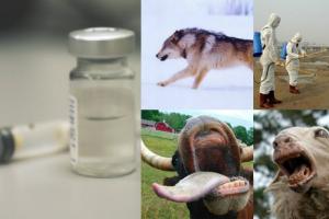 1ut25u7luihl8s9gm0dc08115b