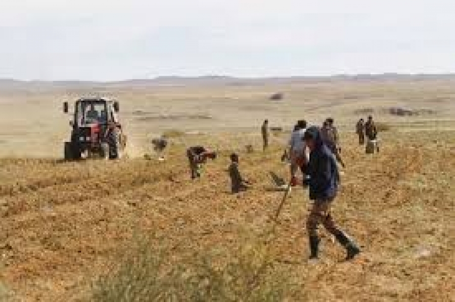 olloo_mn_1411433141_index