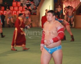 IMG_5366(1) IMG_5366(1)