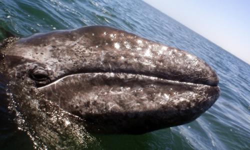 108477dc-d010-44aa-85ec-195be751a34c-620x372