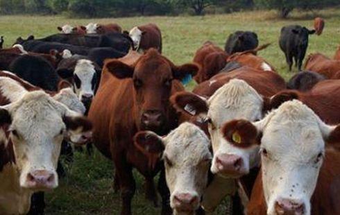 67203emm6f26h6h02brbhot1n9